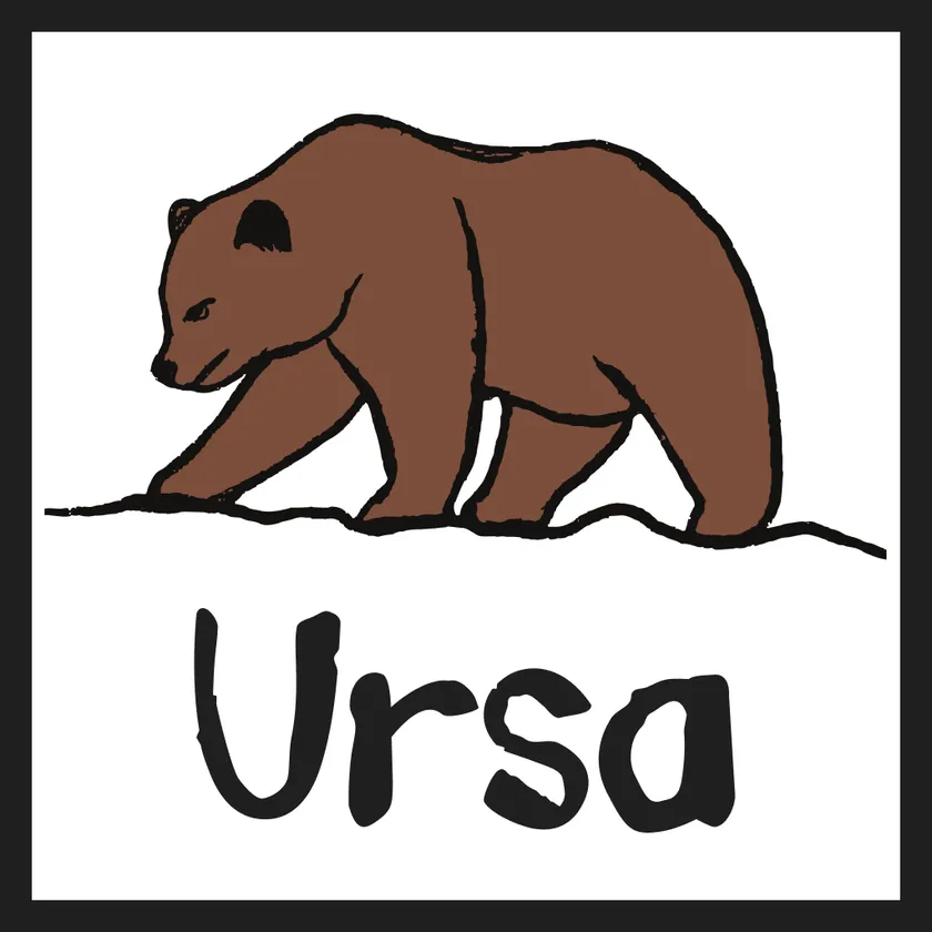 Ursa bear